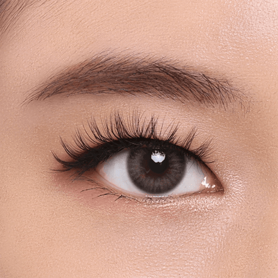 CoréelleThe Petite Clubxoxo Lasheseyelashes