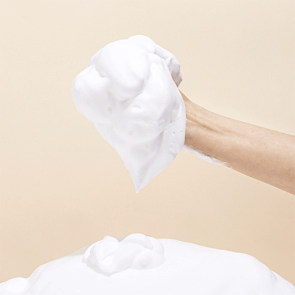Houttuynia Cordata+Tea Tree Cleansing Foam 150ml