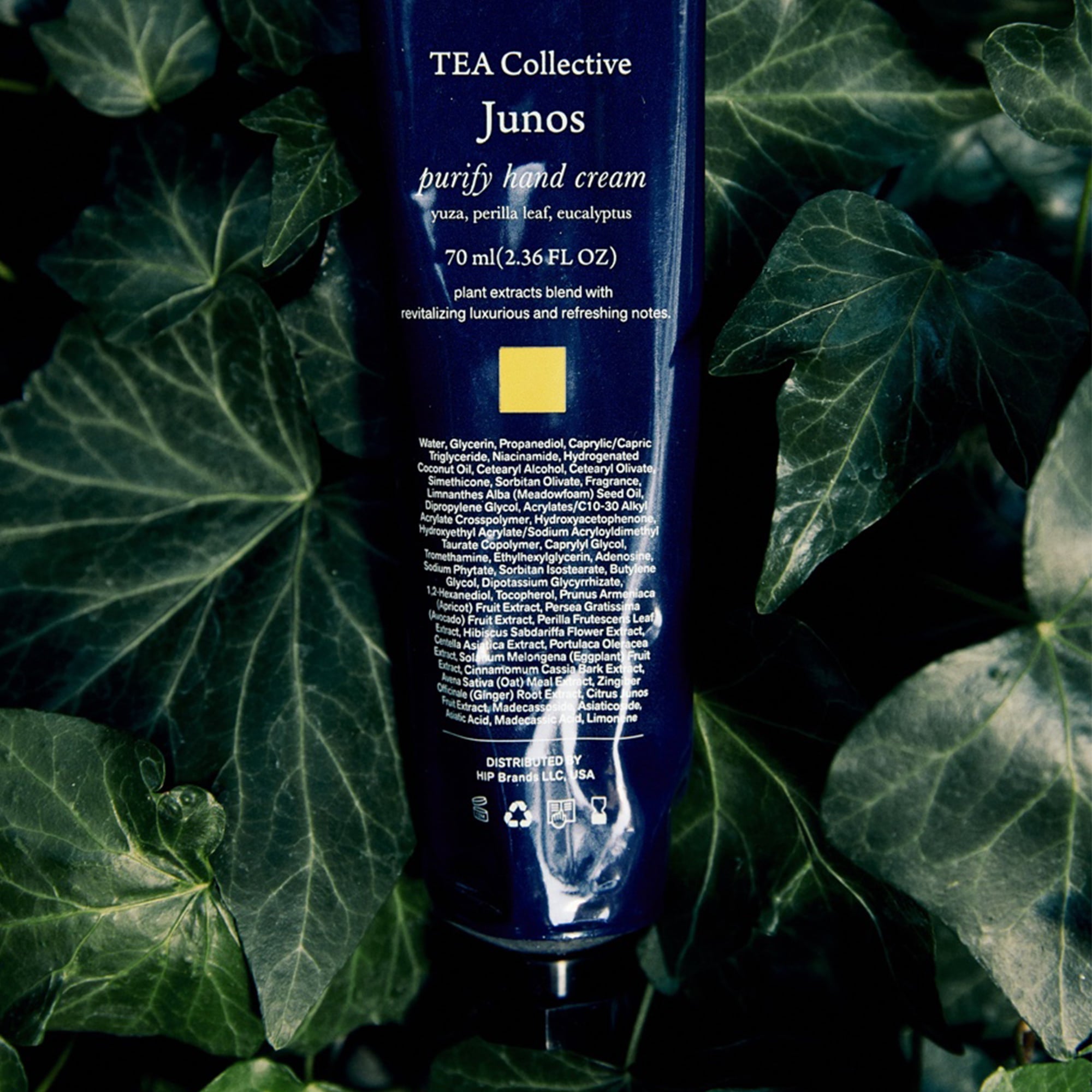 tea-collectivepurify-nourish-
